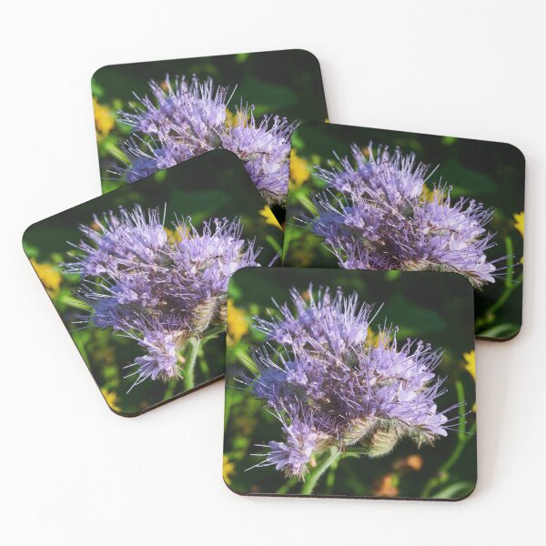Item preview, Purple tansy close up 4 designed and sold by Jouko Lehto Photography.