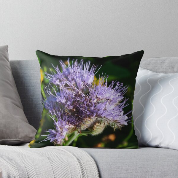 Item preview, Purple tansy close up 4 designed and sold by Jouko Lehto Photography.