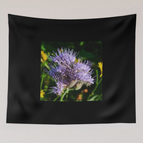 Item preview, Purple tansy close up 4 designed and sold by Jouko Lehto Photography.