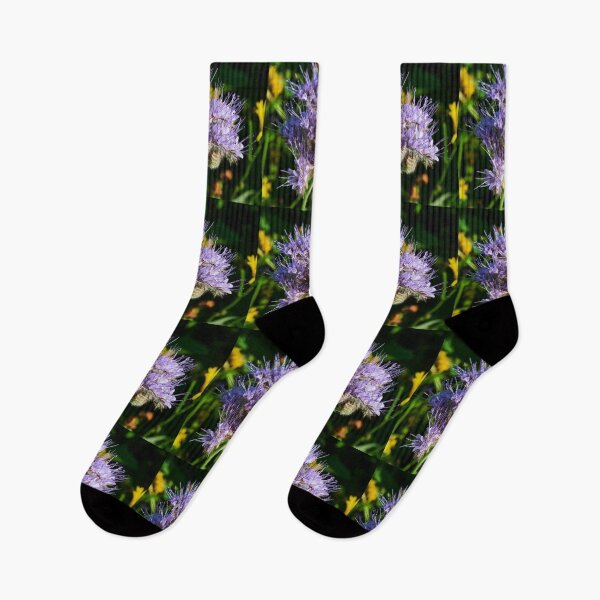 Item preview, Purple tansy close up 4 designed and sold by Jouko Lehto Photography.