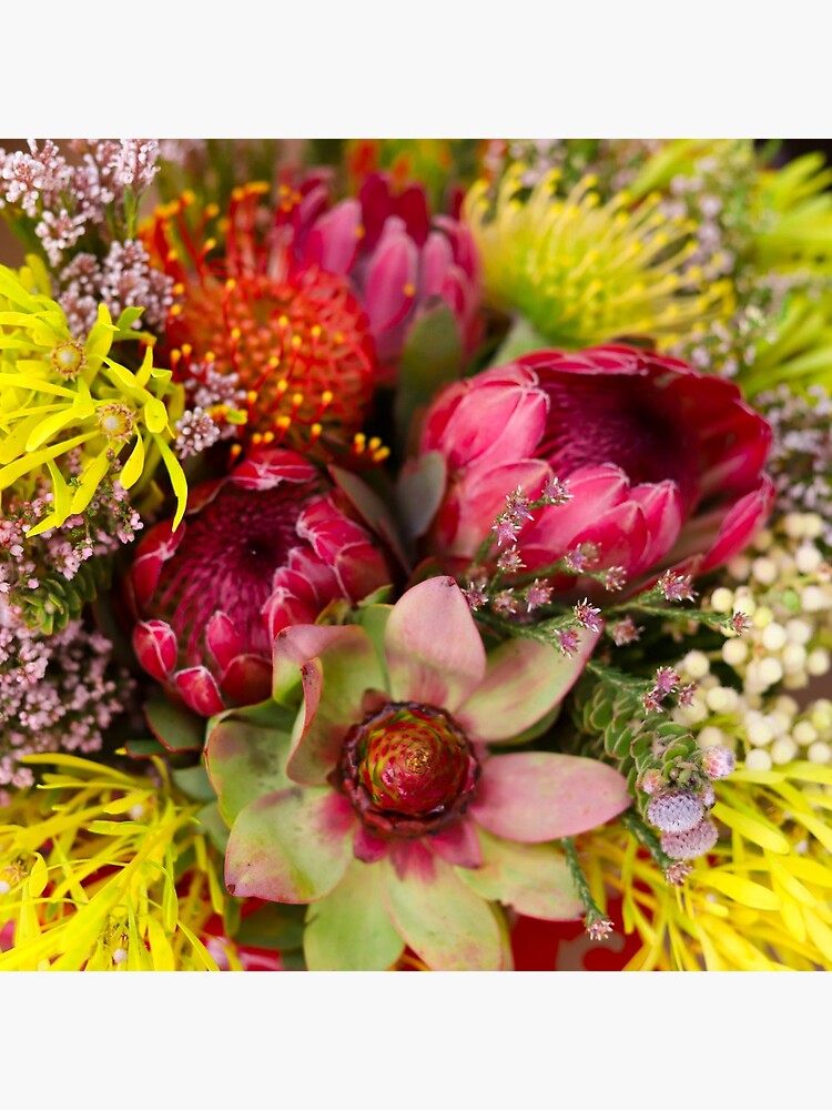 Protea Design in South Africa by MargueriteFaure