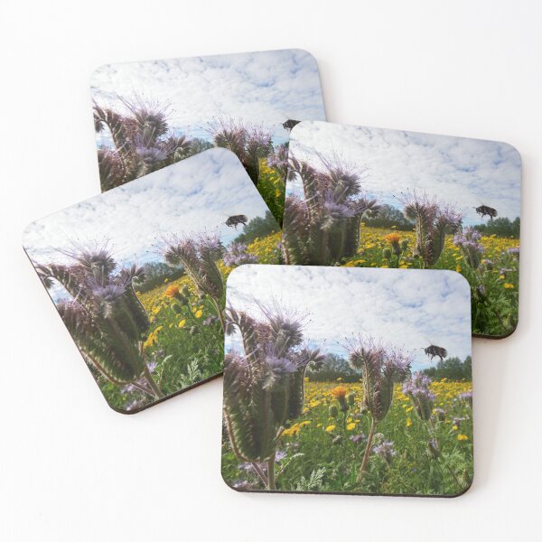 Item preview, Arrival on the flower field. Purple tansy and a bumblebee 8 designed and sold by Jouko Lehto Photography.