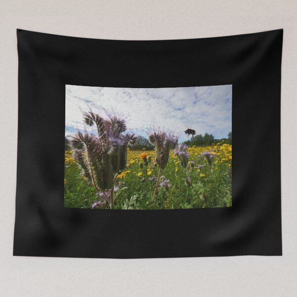 Item preview, Arrival on the flower field. Purple tansy and a bumblebee 8 designed and sold by Jouko Lehto Photography.