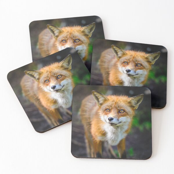 Item preview, Curious Fox designed and sold by reinah.