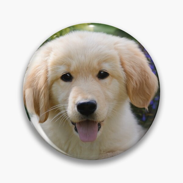 Item preview, Charming Goldie Puppy designed and sold by Katho Menden.