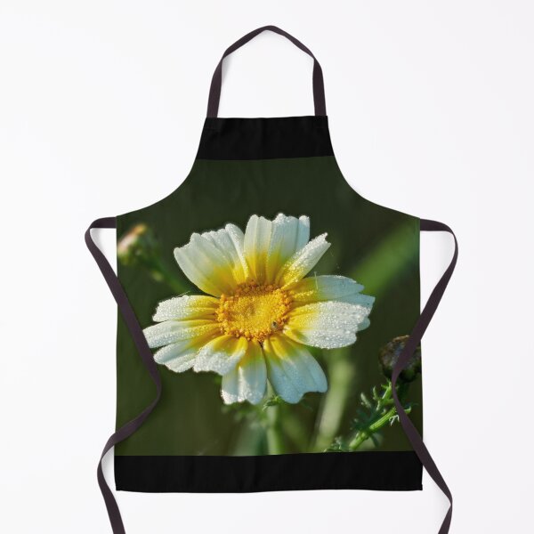 Item preview, Crowndaisy chrysanthemum with a spder 1 designed and sold by Jouko Lehto Photography.
