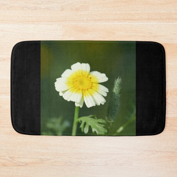 Item preview, Crowndaisy chrysanthemum 8 designed and sold by Jouko Lehto Photography.