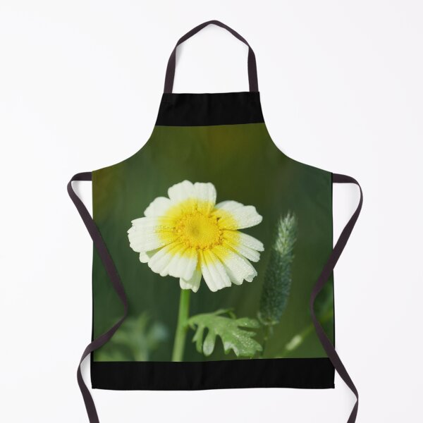 Item preview, Crowndaisy chrysanthemum 8 designed and sold by Jouko Lehto Photography.