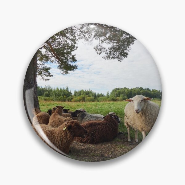 Item preview, Happy sheep on the field designed and sold by Jouko Lehto Photography.