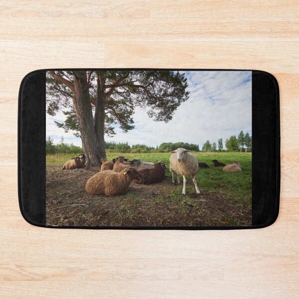 Item preview, Happy sheep on the field designed and sold by Jouko Lehto Photography.