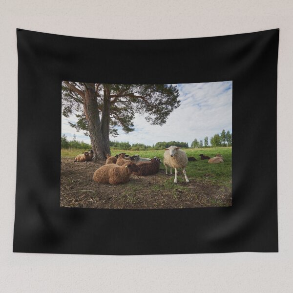 Item preview, Happy sheep on the field designed and sold by Jouko Lehto Photography.
