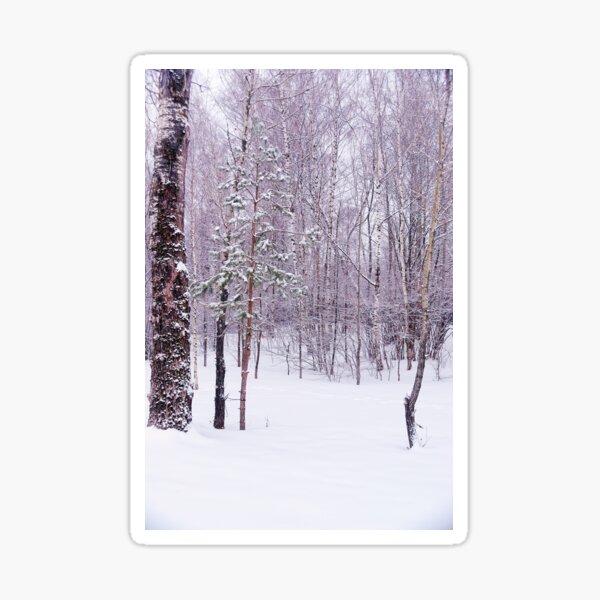 Winter Forest Sticker