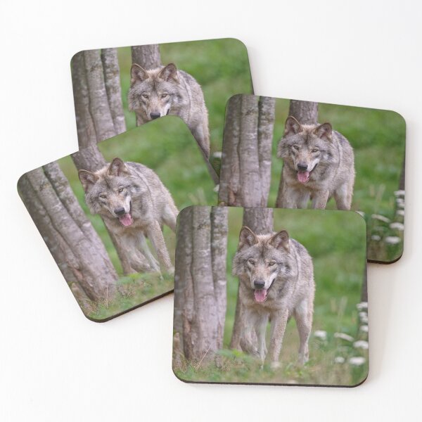 Artikelvorschau, Timber Wolf entworfen und verkauft von WolvesOnly.