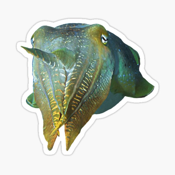 Tintenfisch abstrakt | Schillernde Sepia | Sticker