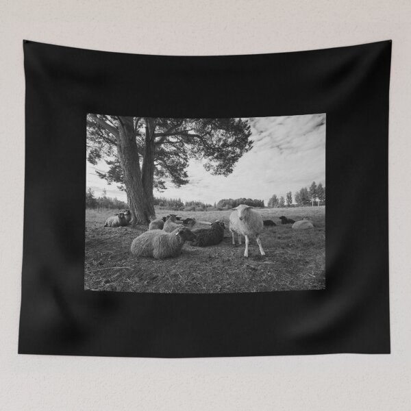 Item preview, Happy sheep on the field in bw designed and sold by Jouko Lehto Photography.