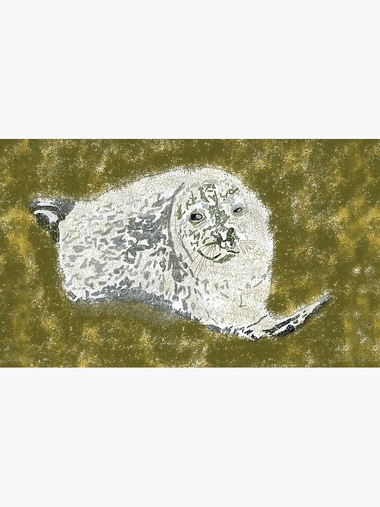 Common Seal Pup. Oban, Scotland by hoxtonboy
