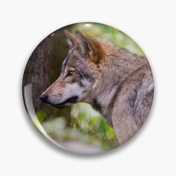 Item preview, Timber Wolf designed and sold by WolvesOnly.