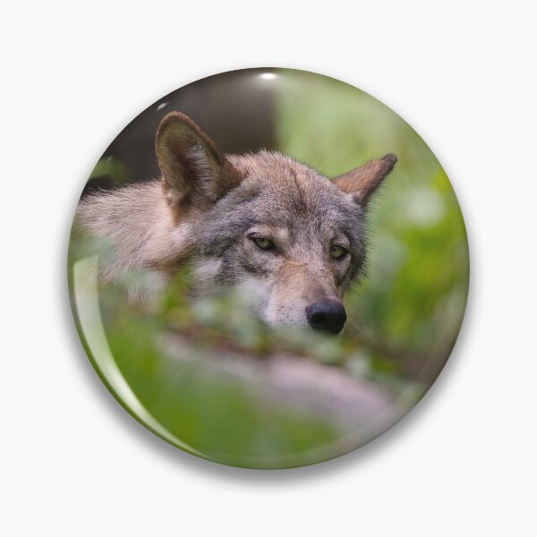Item preview, Timber Wolf designed and sold by WolvesOnly.