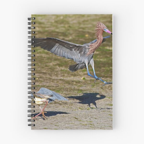 Item preview, Incoming Egret designed and sold by Michiale.