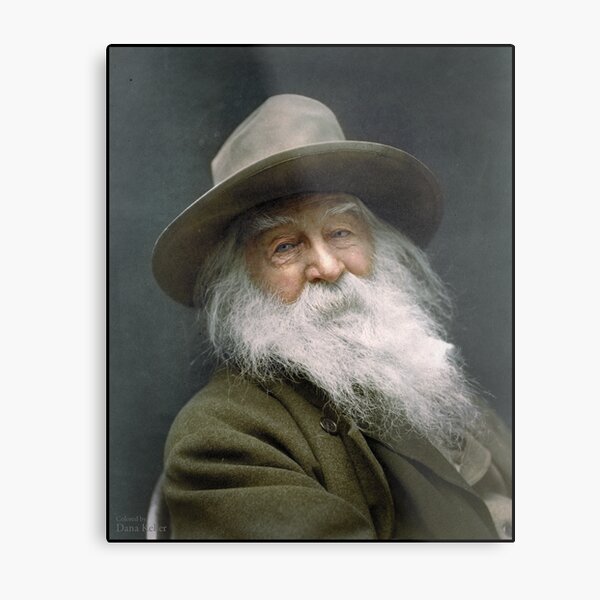 Walt Whitman, 1887 Metal Print