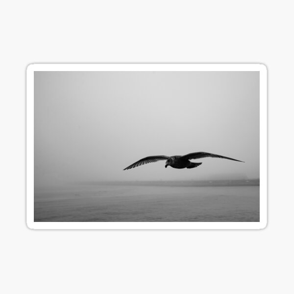 Item preview, In Flight designed and sold by Jane Ruttkayova.