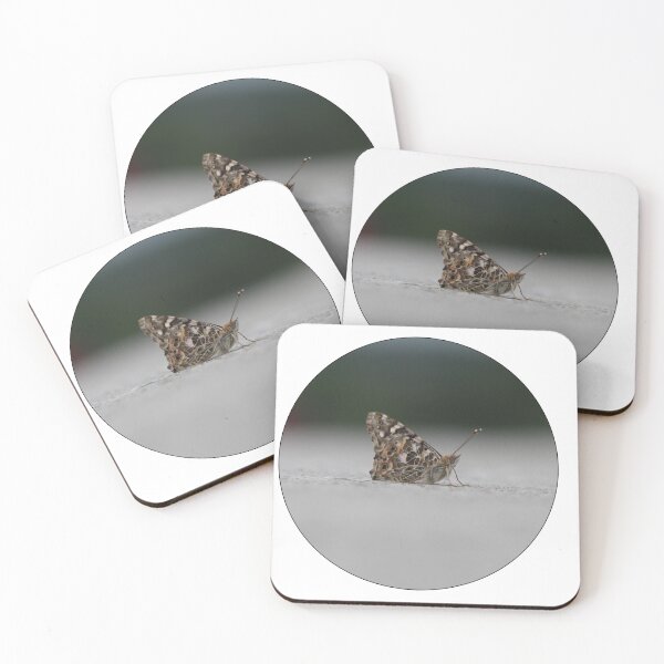 Item preview, Butterfly designed and sold by Sir-Cervantes.