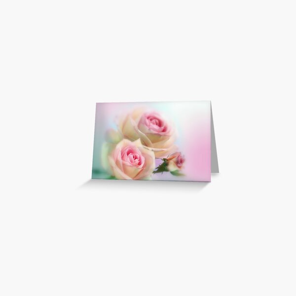 Pink Roses Birthday Fine Art Greeting Card Free Shipping