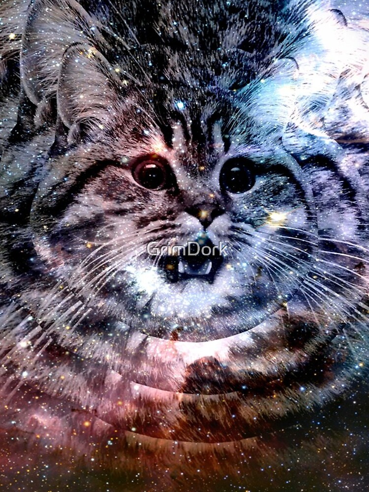 Existential Crisis Cat by GrimDork