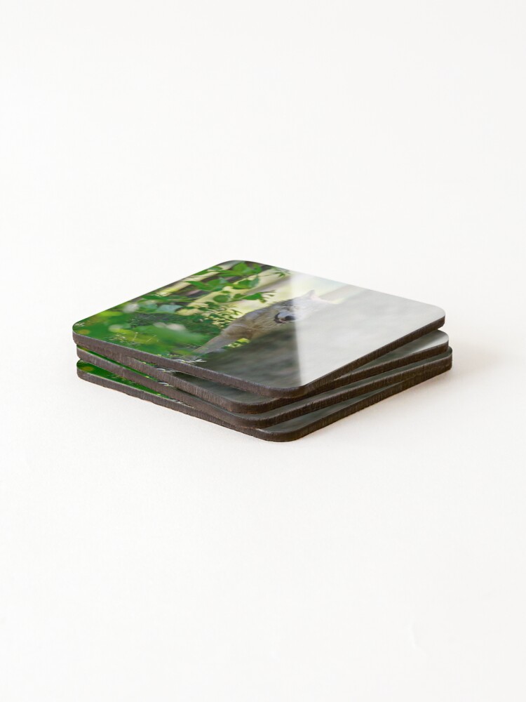 Thumbnail 4 of 5, Coasters (Set of 4), Timber Wolf designed and sold by WolvesOnly.
