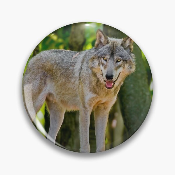 Item preview, Timber Wolf designed and sold by WolvesOnly.