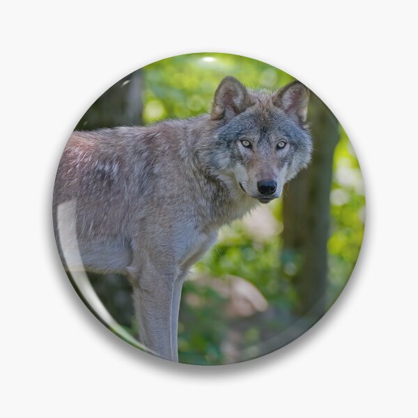 Item preview, Timber Wolf designed and sold by WolvesOnly.