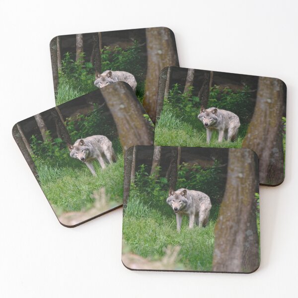 Artikelvorschau, Timber Wolf entworfen und verkauft von WolvesOnly.