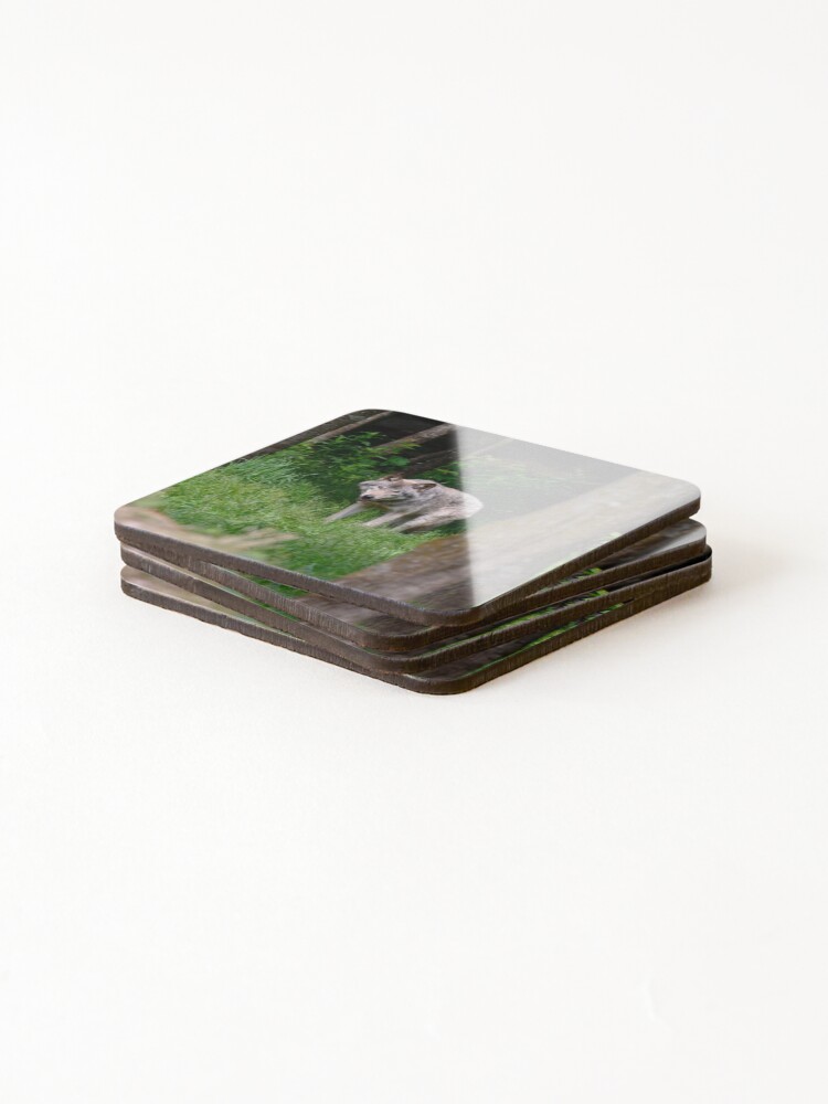 Thumbnail 4 of 5, Coasters (Set of 4), Timber Wolf designed and sold by WolvesOnly.