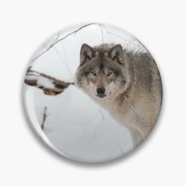 Item preview, Timber Wolf designed and sold by WolvesOnly.