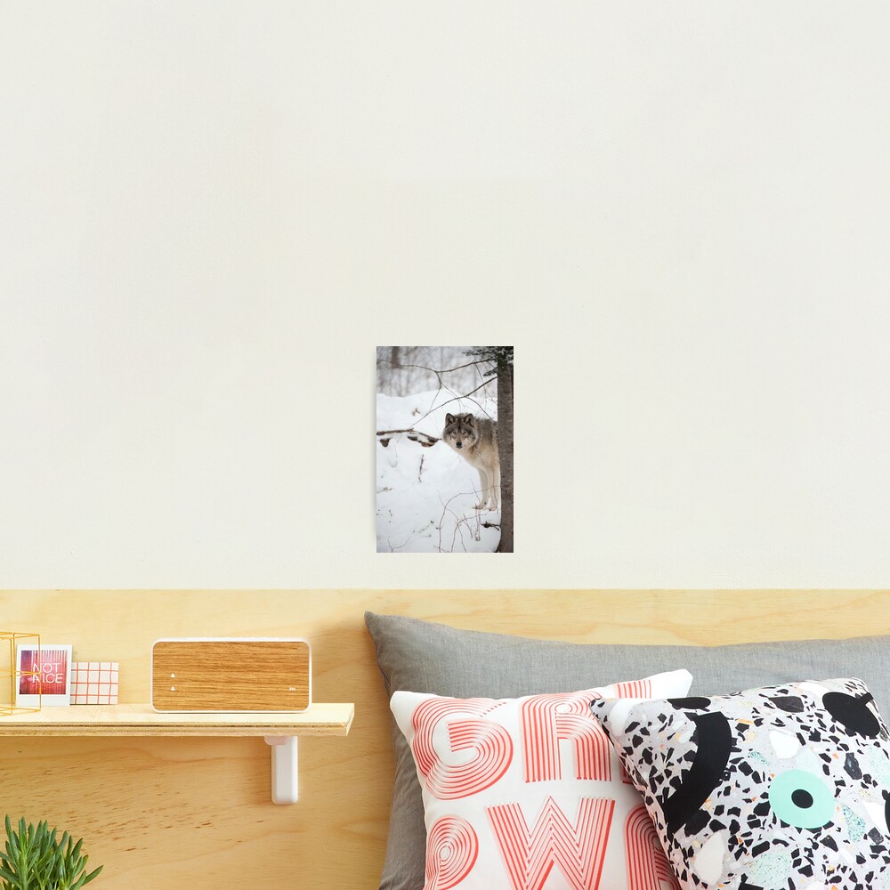 Vista previa del artículo con la obra «Lámina fotográfica», diseñado y vendido por WolvesOnly.