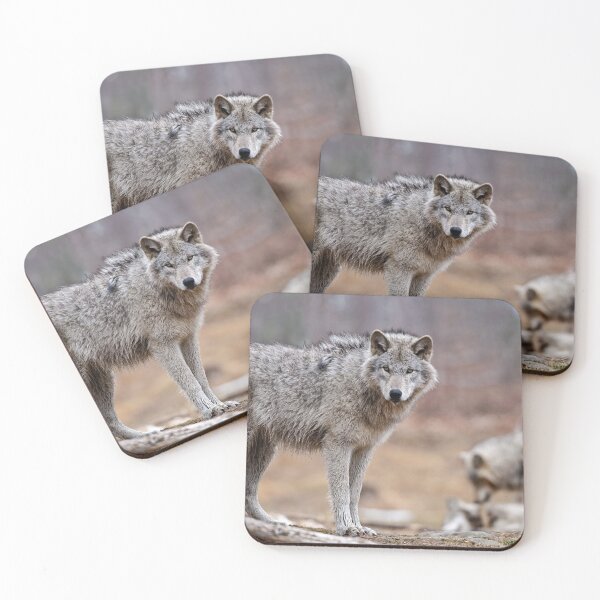 Item preview, Timber Wolves designed and sold by WolvesOnly.