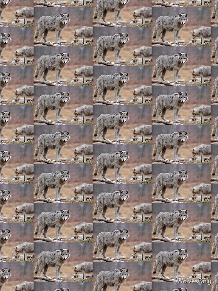 Thumbnail 5 of 5, A-Line Dress, Timber Wolves designed and sold by WolvesOnly.