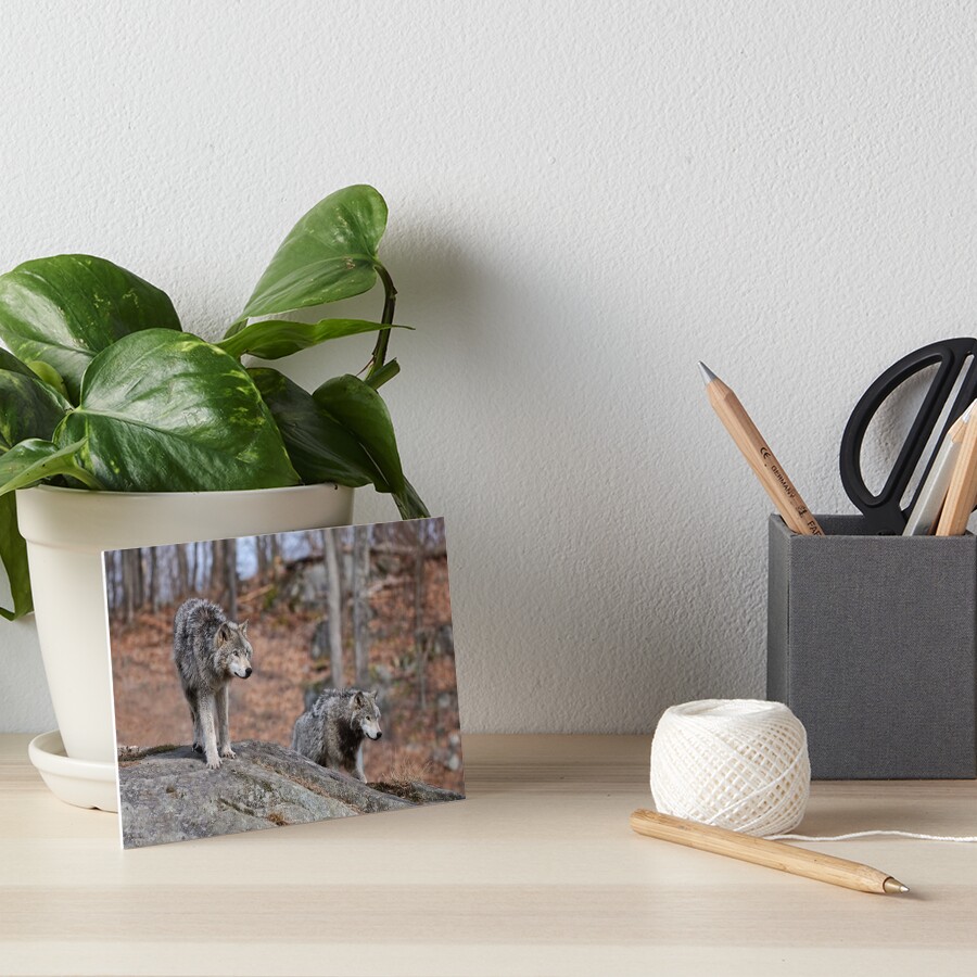 Item preview, Art Board Print designed and sold by WolvesOnly.