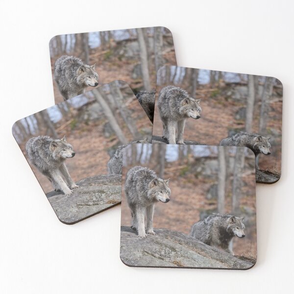 Item preview, Timber Wolves designed and sold by WolvesOnly.