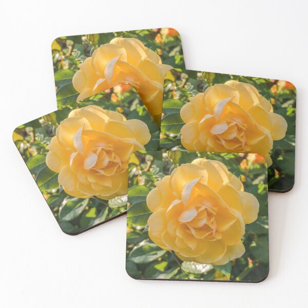 Item preview, Yellow rose on a green bush  designed and sold by AlexLyubar.