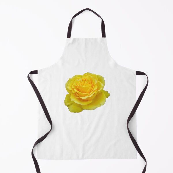 Item preview, Beautiful Yellow Rose Closeup Isolated On White designed and sold by taiche.