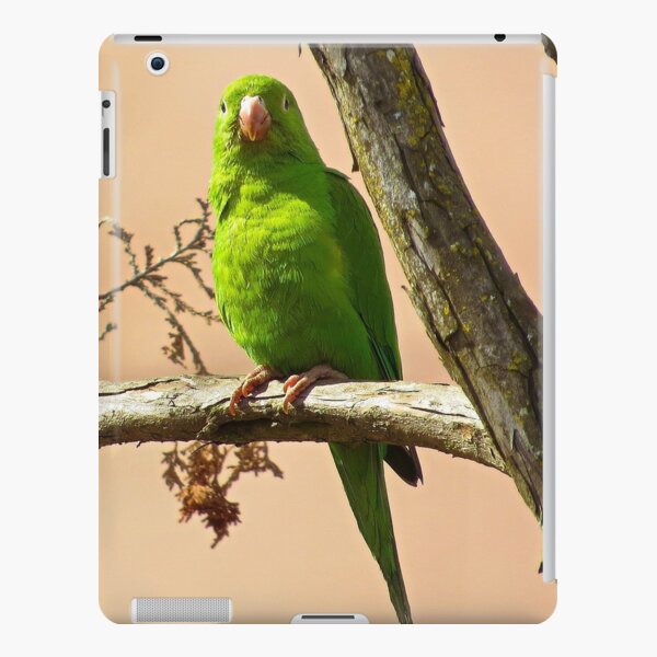 Cute Parrot Ipad Cases Skins Redbubble - how to get roblox amazon parrot