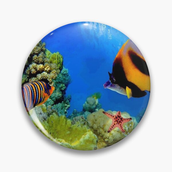 Item preview, GREAT BARRIER REEF  Queensland Australia Advertising Print   imarotul designed and sold by sddaqwaww.