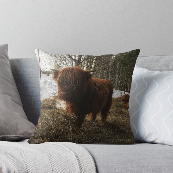 Item preview, Scottish Highland Cattle Calf 1923 designed and sold by SaarelaHighland.
