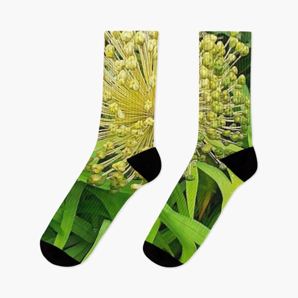 Item preview, Flower, garden, nature designed and sold by Sternchen2789.