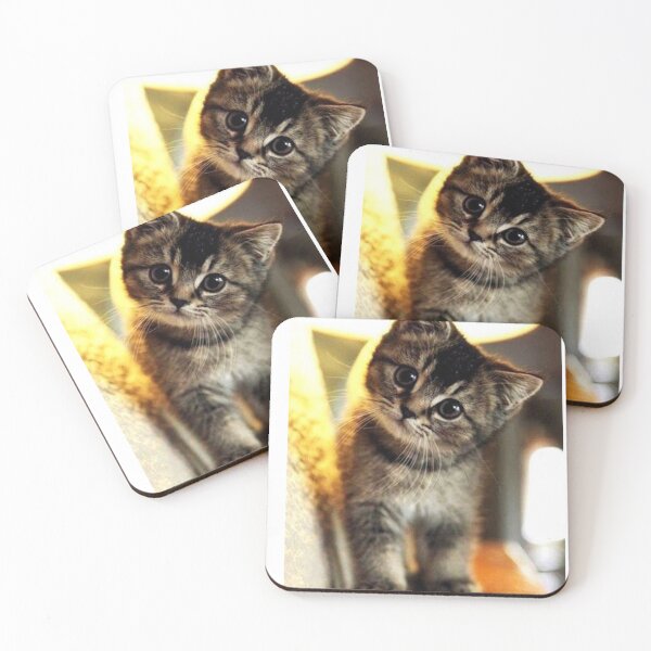 Item preview, Kitten designed and sold by xela7.