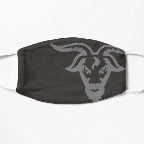 WPI Together Mask 2 Flat Mask