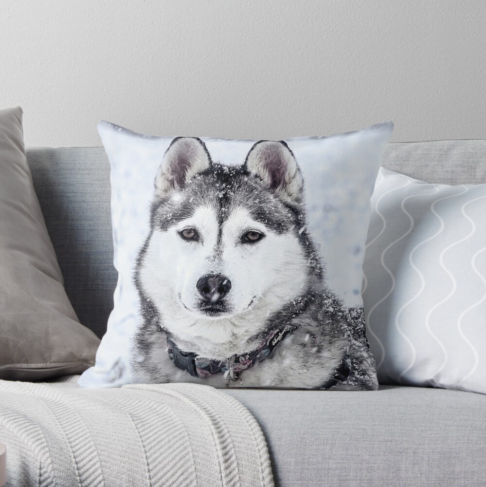 husky dog pillow