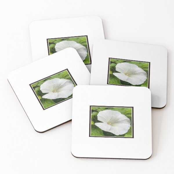 Item preview, White Beauty designed and sold by Immy Odams.