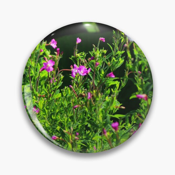 Artikelvorschau, Epilobium Hirsutum - Weidenröschen entworfen und verkauft von BritishYank.